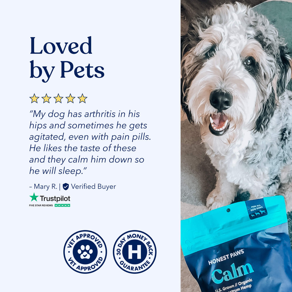 Calm Hemp Bites for Dogs