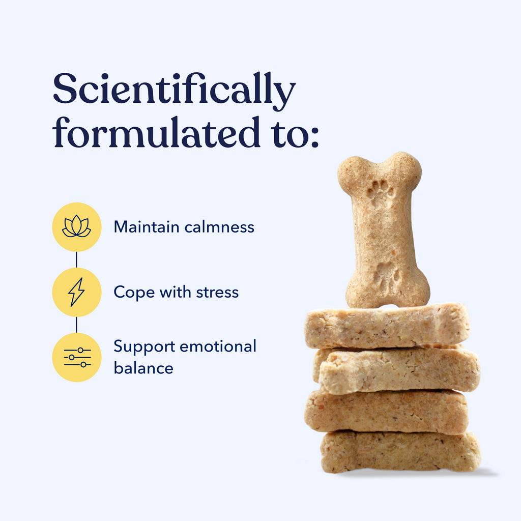 Calm Hemp Bites for Dogs