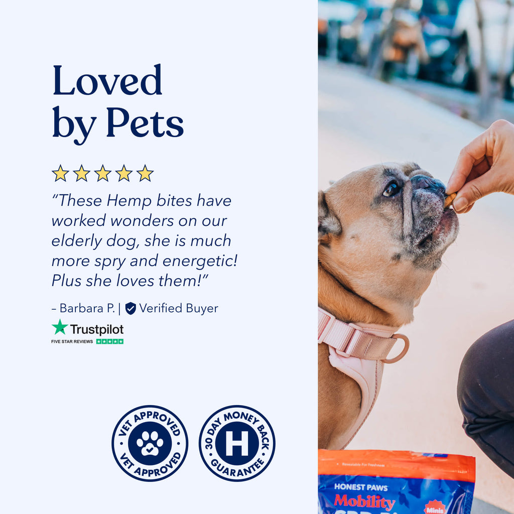 Mobility Hemp Bites for Dogs