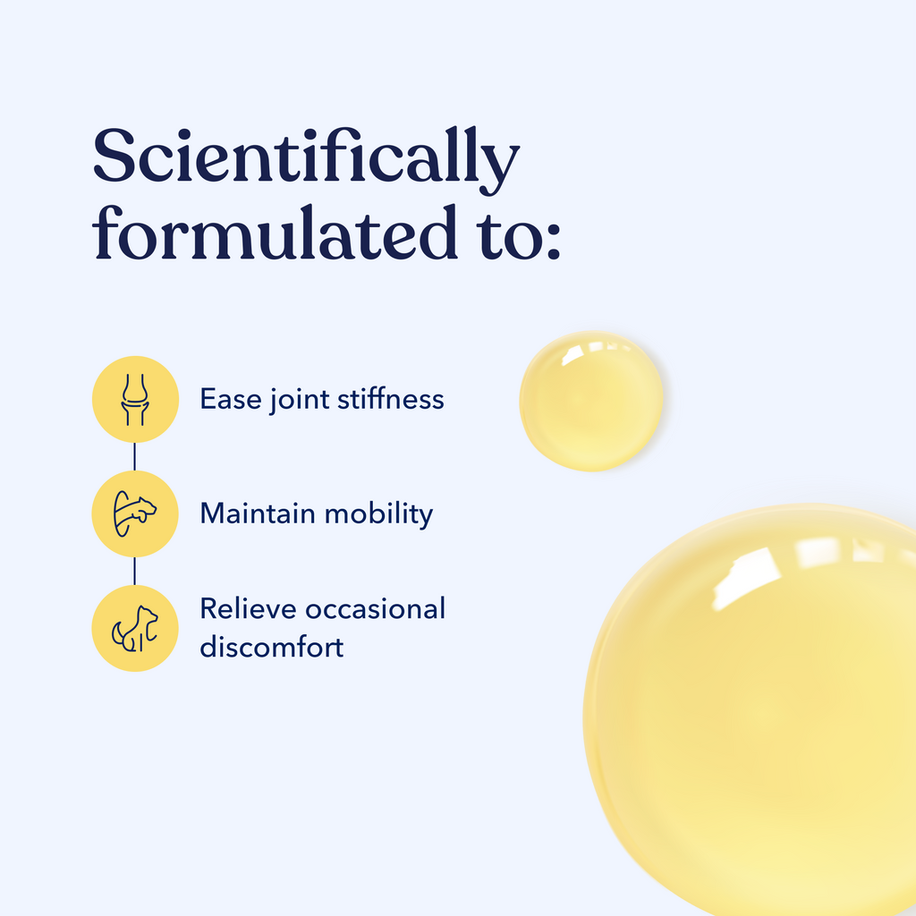 Mobility Hemp Oil for Dogs