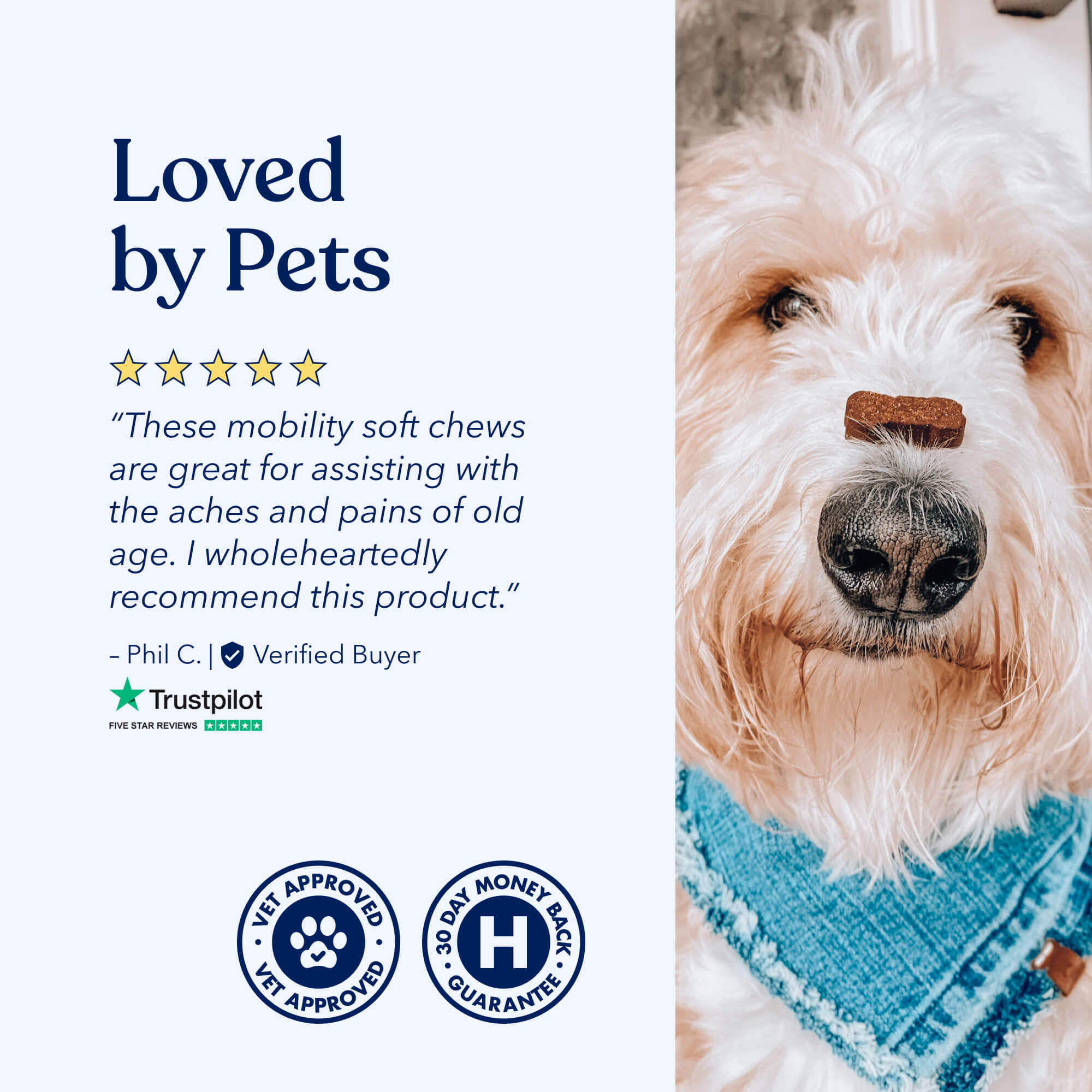 Mobility Hemp Soft Chews for Dogs