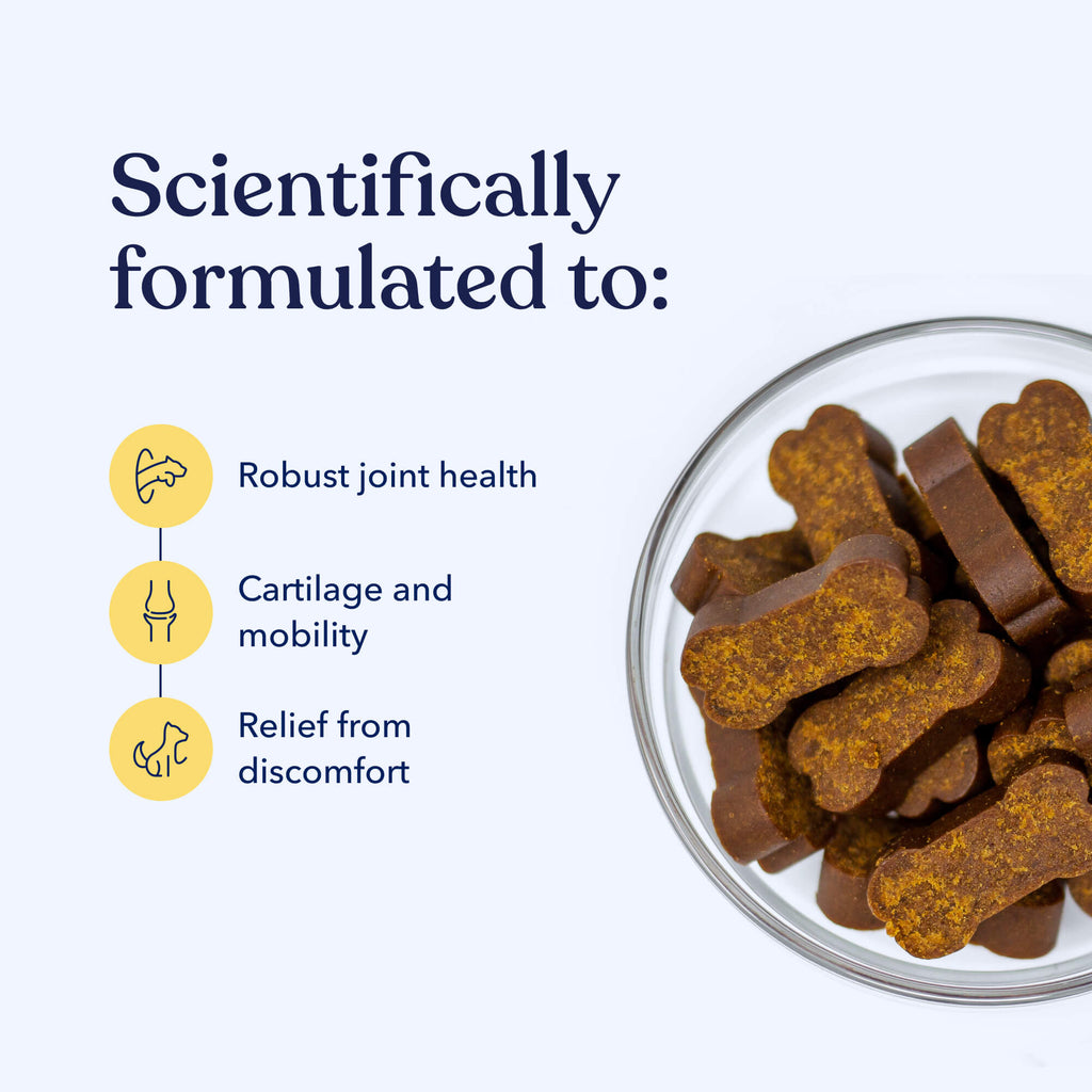 Mobility Hemp Soft Chews for Dogs