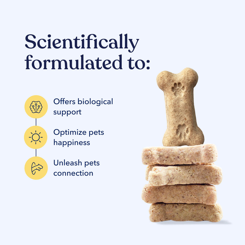 Well Hemp Bites for Dogs