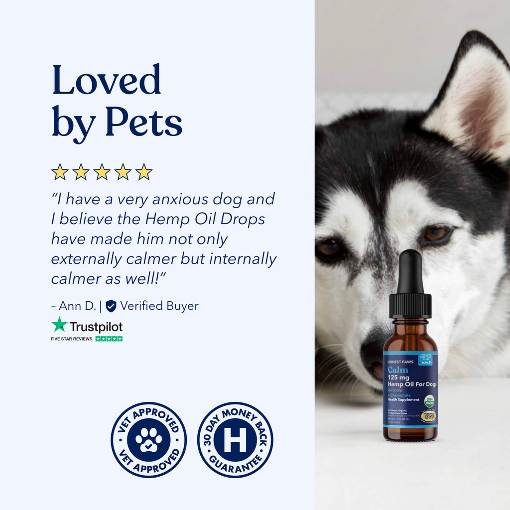 Calm Hemp Oil for Dogs