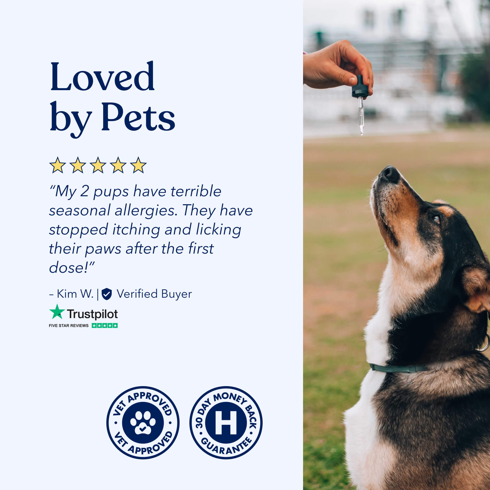 Well Hemp Oil for Dogs
